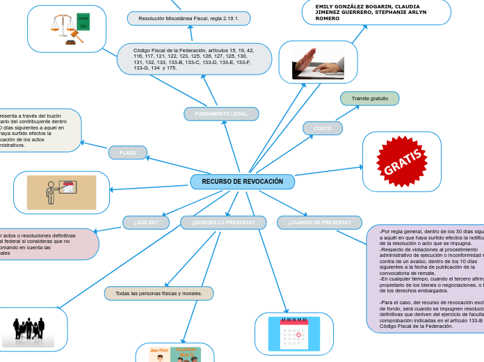 RECURSO DE REVOCACIÓN