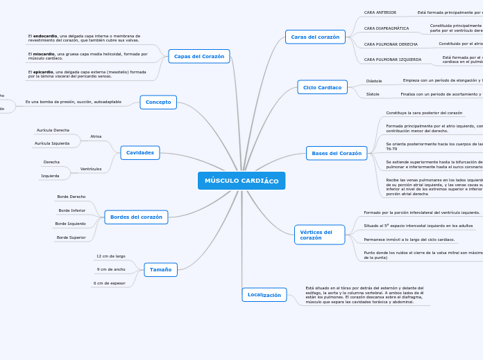 MÚSCULO CARDIÁCO - Mapa Mental