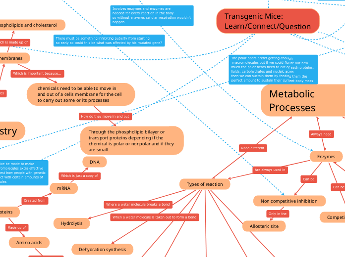 SBI4U Summative Connections