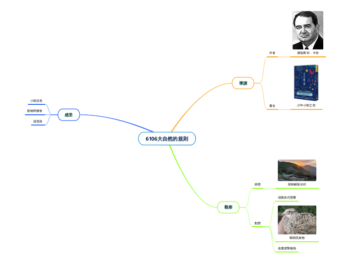 6106大自然的規則