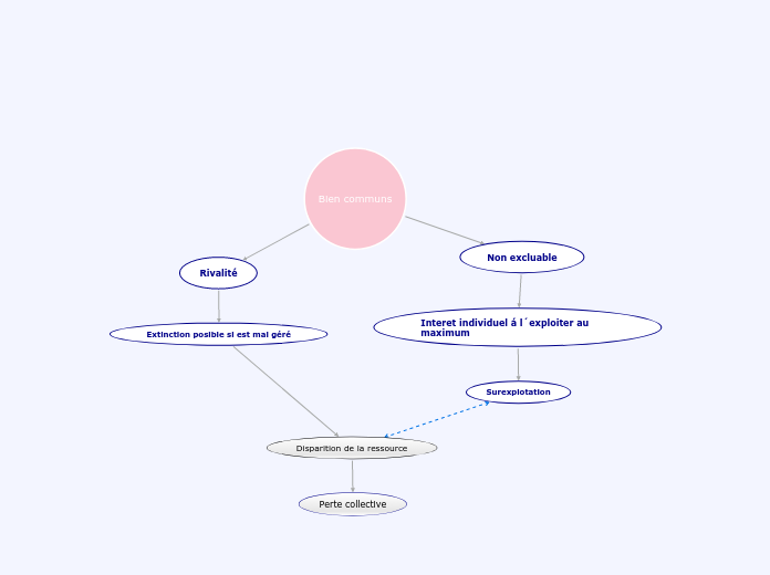 Bien communs - Carte Mentale