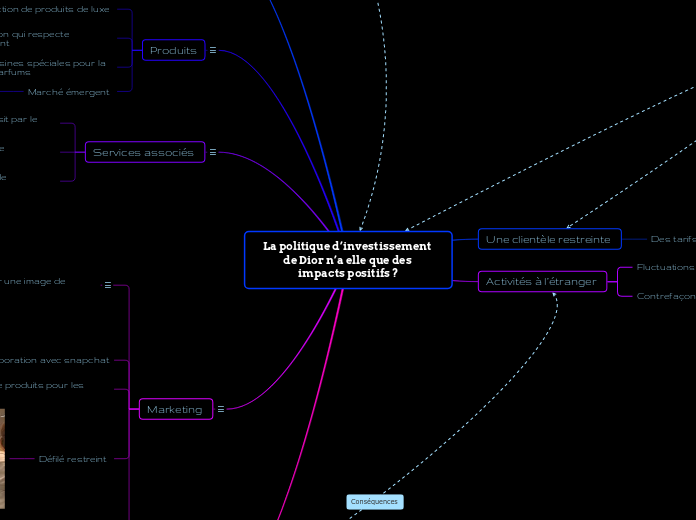 La politique d’investissement de Dior...- Carte Mentale