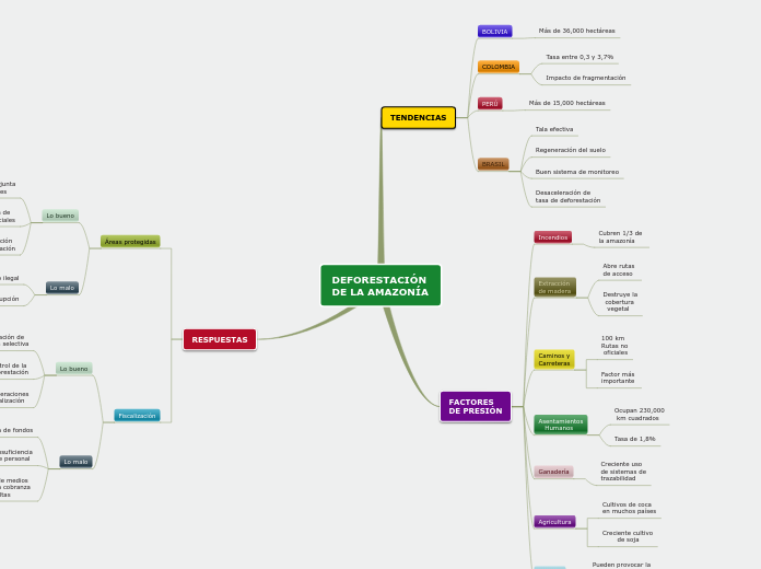 DEFORESTACIÓN 
DE LA AMAZONÍA