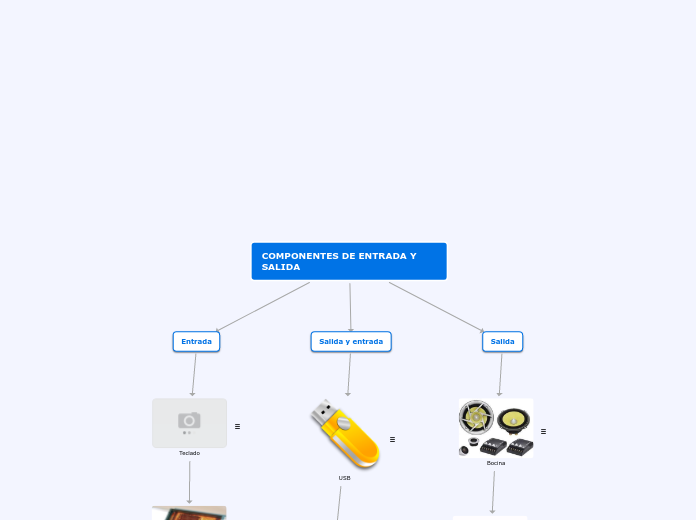 COMPONENTES DE ENTRADA Y SALIDA - Mapa Mental