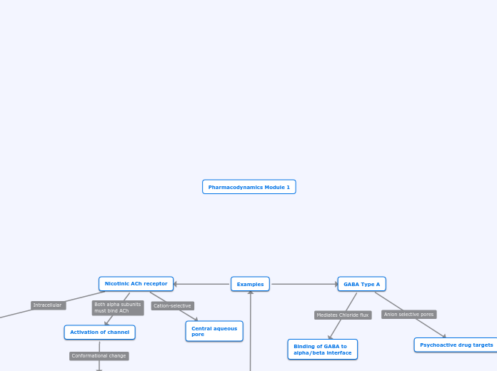 Mind Map Assignment