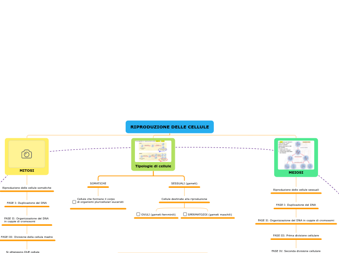 RIPRODUZIONE DELLE CELLULE