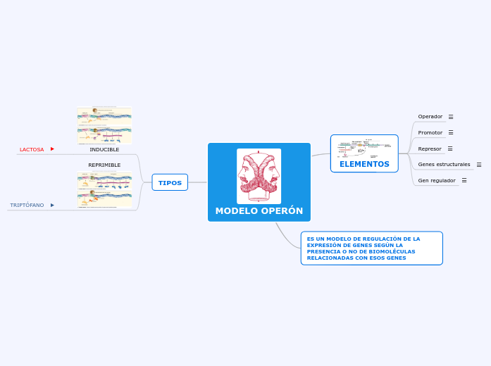 MAPA MODELO OPERÓN