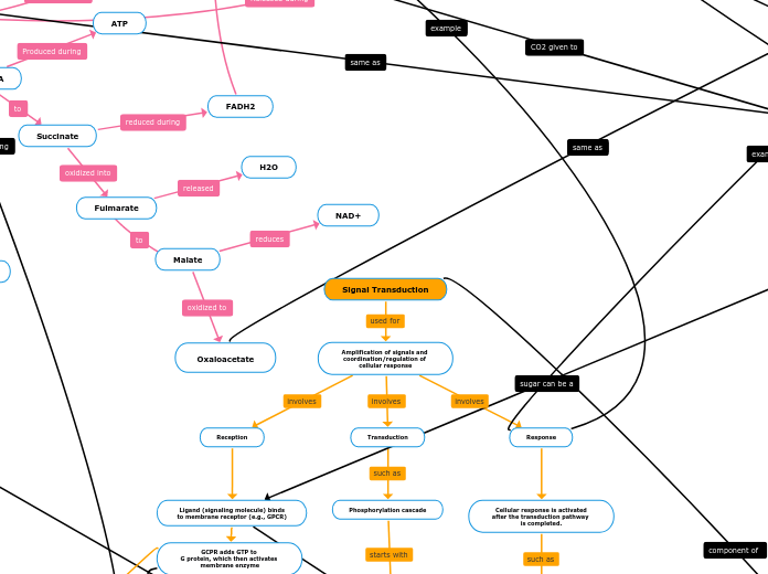 Concept Map 2