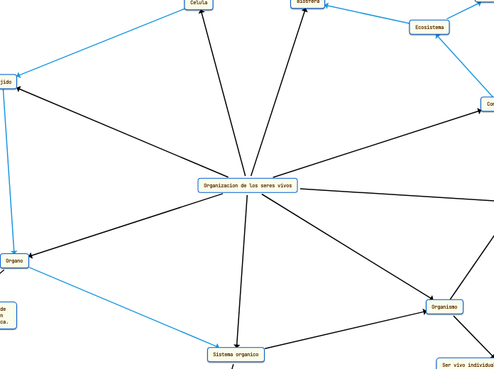 Organizacion de los seres vivos