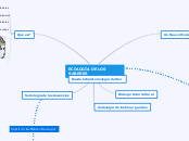 ECOLOGÍA DE LOS SABERES