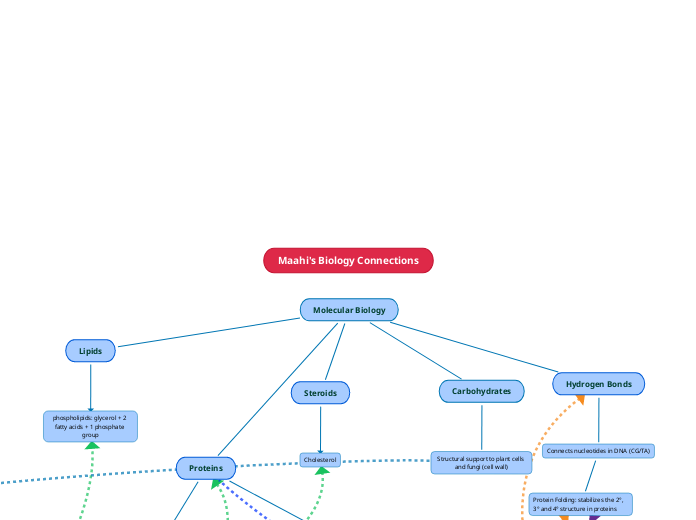 Maahi's Biology Connections