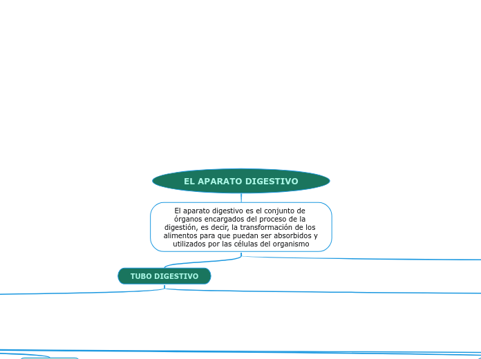 EL APARATO DIGESTIVO