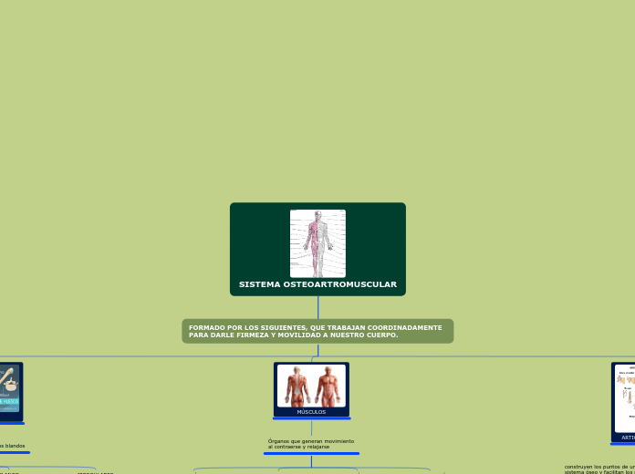 SISTEMA OSTEOARTROMUSCULAR - Mapa Mental