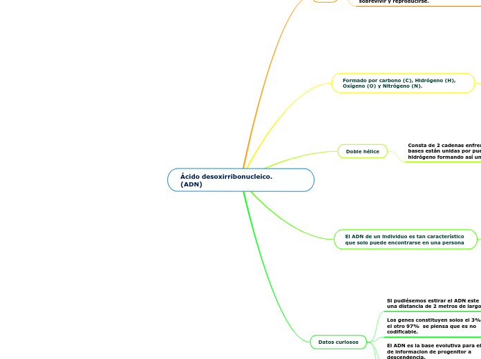 Ácido desoxirribonucleico.     (ADN)