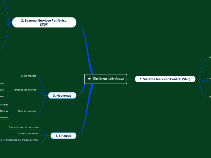 # Sistema Nervioso