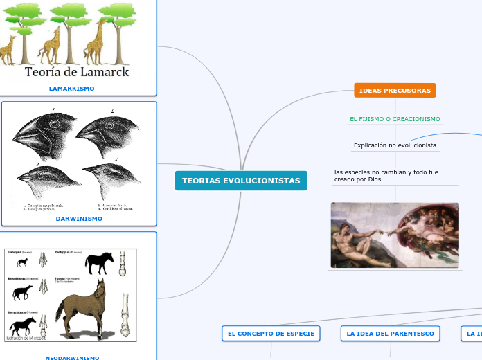 TEORIAS EVOLUCIONISTAS