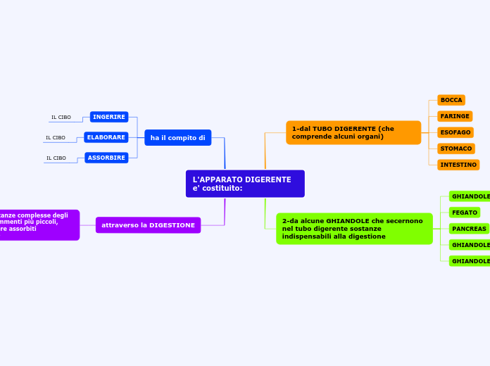 L'APPARATO DIGERENTE e' costituito: