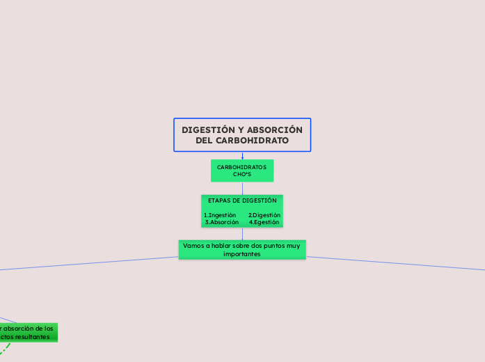 DIGESTIÓN Y ABSORCIÓN DEL CARBOHIDRATO