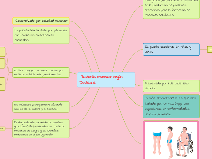 Distrofia muscular según Duch