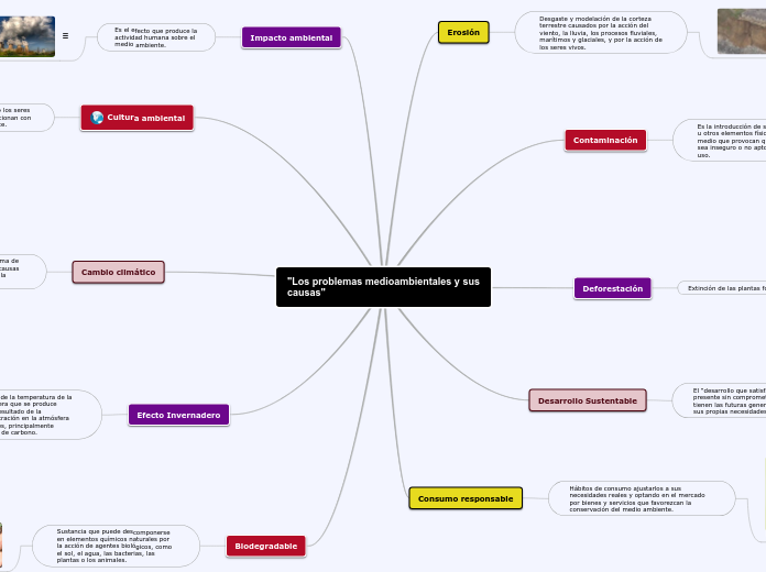 "Los problemas medioambientales y sus c...- Mapa Mental