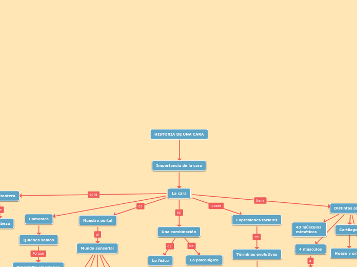 HISTORIA DE UNA CARA - Mapa Mental