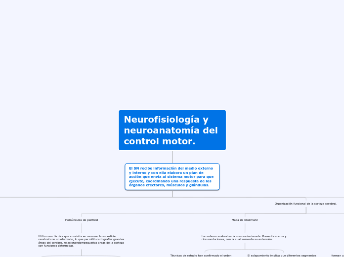 Neurofisiología y neuroanatomía del con...- Mapa Mental