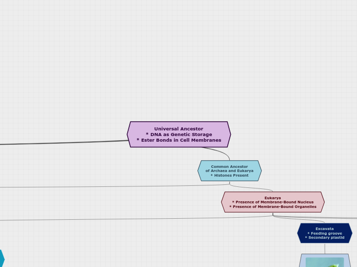 Universal Ancestor
* DNA as Genetic Storag...- Mind Map