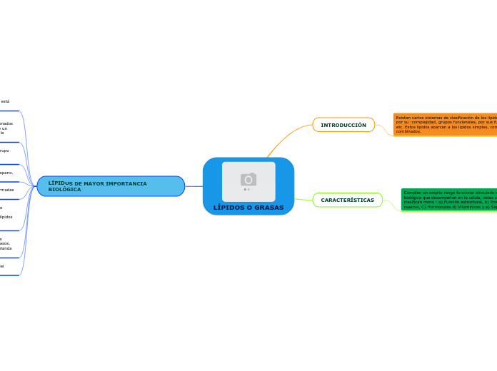 LÍPIDOS O GRASAS - Mapa Mental