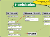 Hominisation