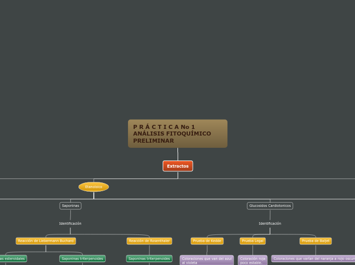 P R Á C T I C A No 1
ANÁLISIS FITOQUÍMI...- Mapa Mental