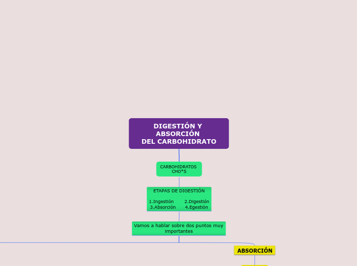 DIGESTIÓN Y ABSORCIÓN DEL CARBOHIDRATO