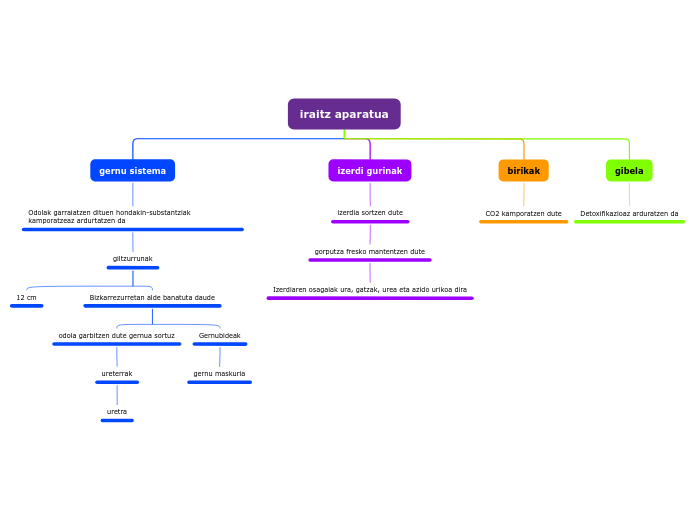 iraitz aparatua - Hartă mentală