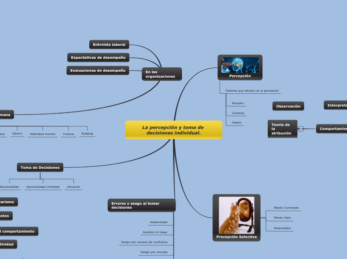 La percepción y toma de decisiones individual.