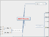 MIS567 - Session 1 - Processes 