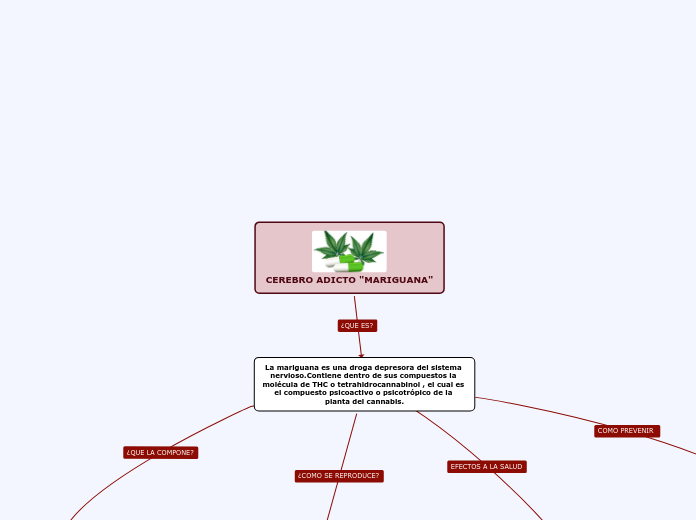 CEREBRO ADICTO "MARIGUANA"