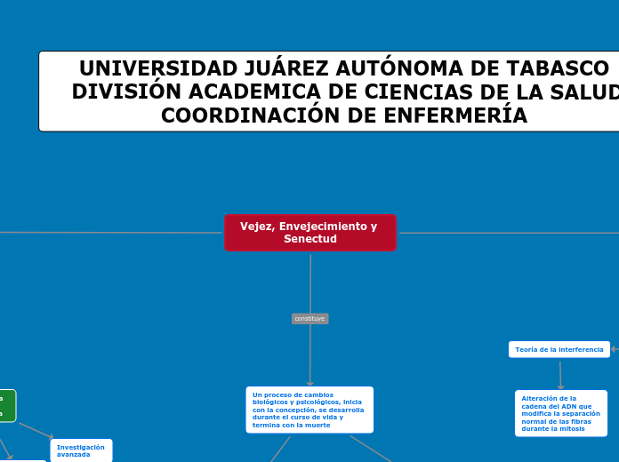 Vejez, Envejecimiento y Senectud