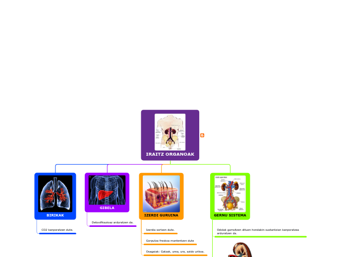 IRAITZ ORGANOAK - Mind Map