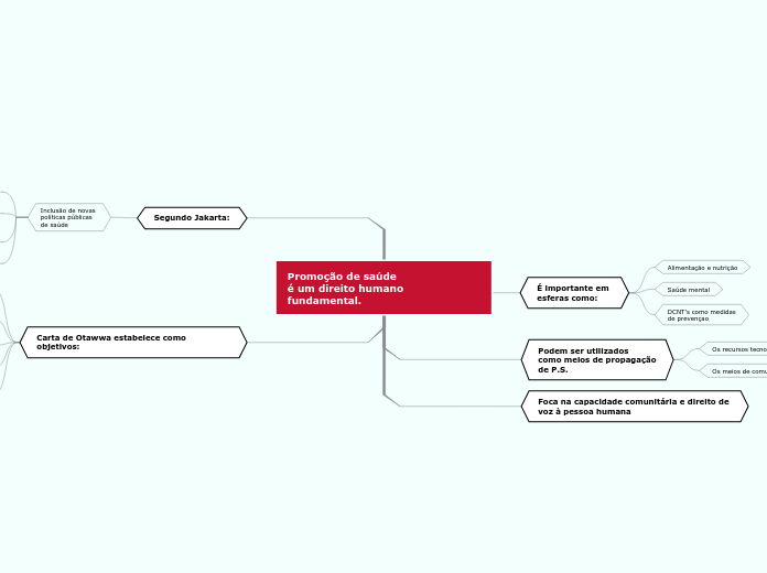 Promoção de saúde 
é um direito humano ...- Mapa Mental
