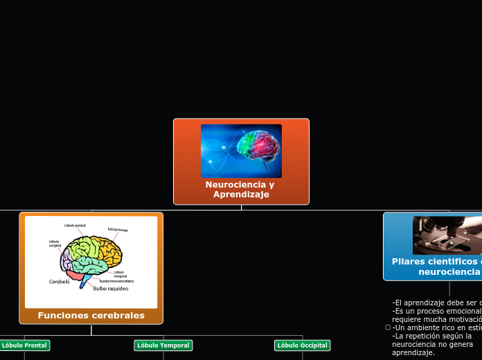 Neurociencia y Aprendizaje