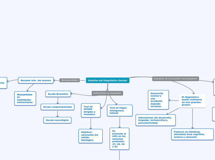Ámbitos del Diagnóstico Escolar