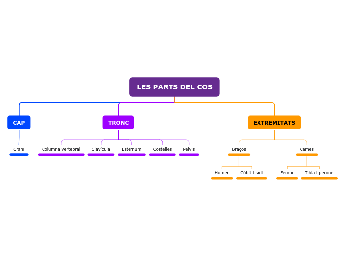 LES PARTS DEL COS - Mapa Mental