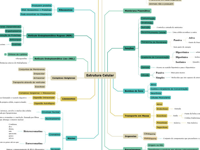 Estrutura Celular