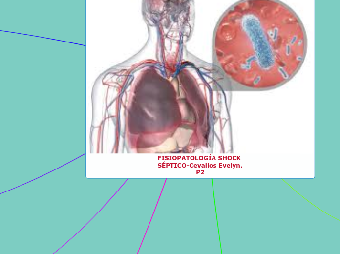 FISIOPATOLOGÍA SHOCK SÉPTICO-Cevallos Evelyn. P2