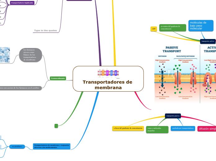 Transportadores de membrana