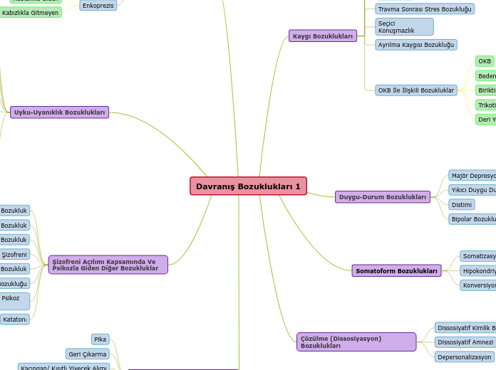 Davranış Bozuklukları 1