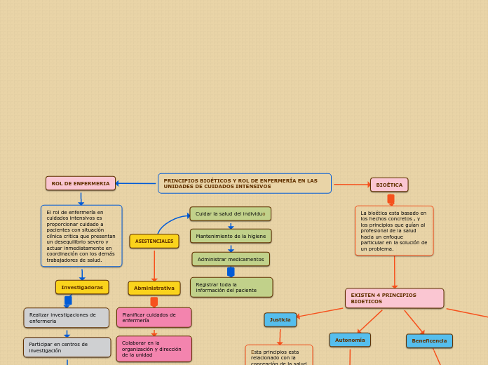 PRINCIPIOS BIOÉTICOS Y ROL DE ENFERMERÍ...- Mapa Mental