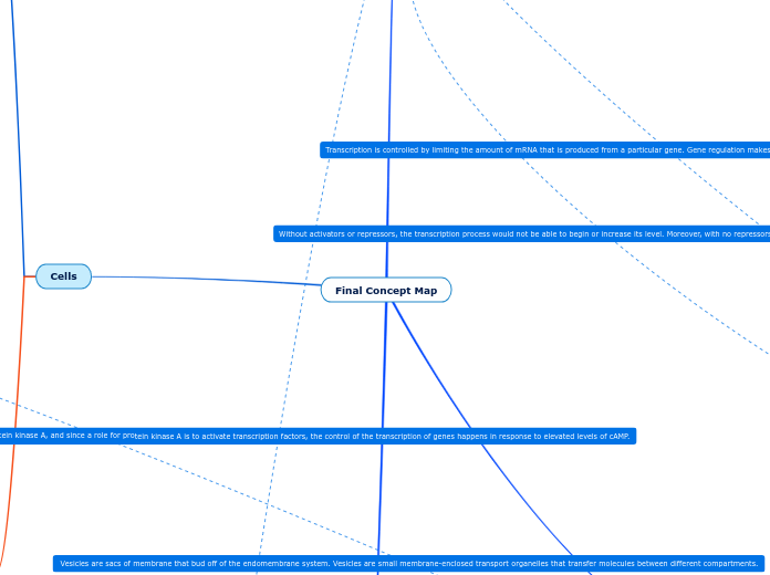 Final Concept Map