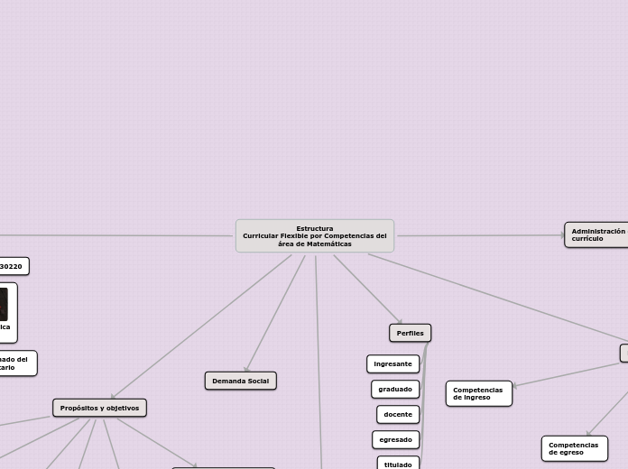 Estructura
Curricular Flexible por Comp...- Mapa Mental