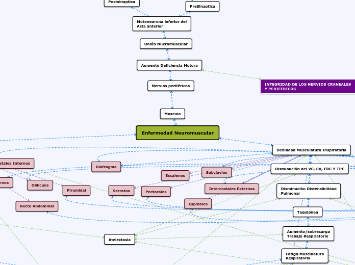 Enfermedad Neuromuscular