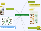 RESIDUOS ORGANICOS - Mapa Mental